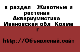  в раздел : Животные и растения » Аквариумистика . Ивановская обл.,Кохма г.